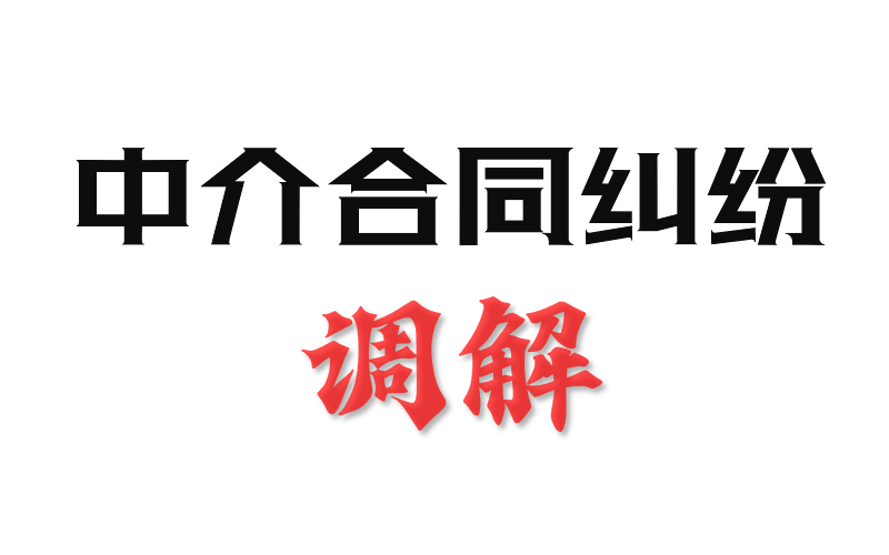 封面 - 中介合同纠纷 - 副本1.jpg