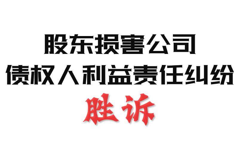 封面 - 股东损害公司债权人利益责任纠纷 - 封面.jpg