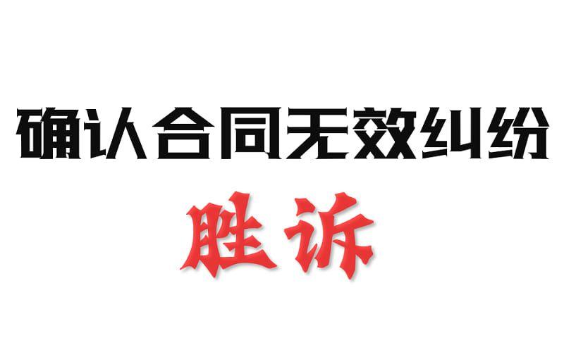 封面 - 确认合同无效纠纷 - 副本.jpg