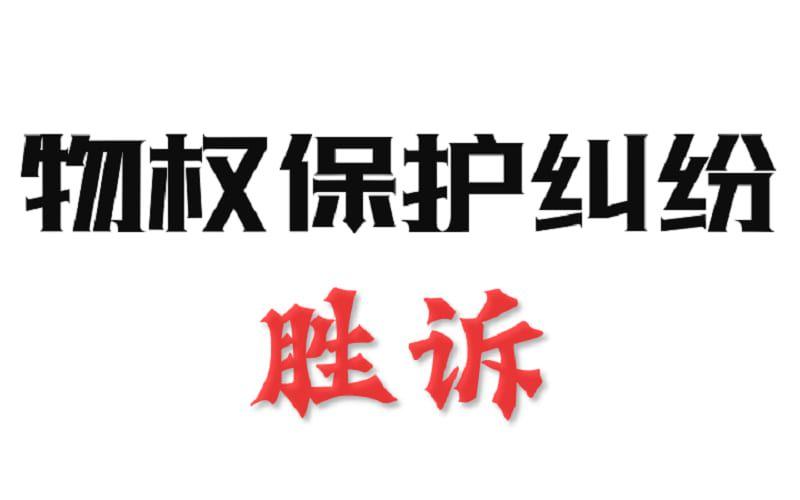 封面 - 物权保护纠纷 - 副本.jpg