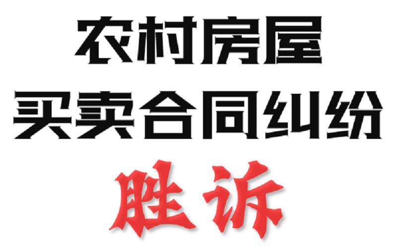 封面 - 农村房屋买卖合同纠纷 - 副本.jpg
