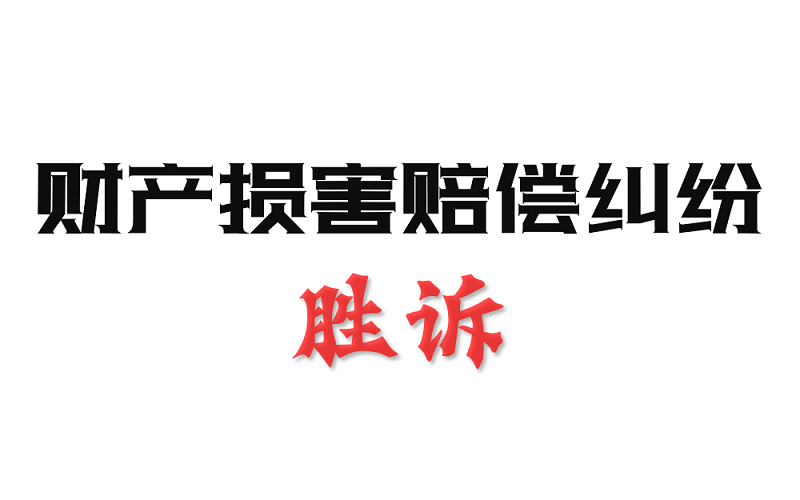 封面 - 财产损害赔偿纠纷 - 副本.jpg